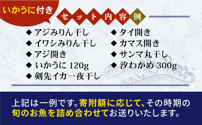 旬の海産物 干物詰め合わせ Cセット 《壱岐市》【マルミ海産物】[JCY003] 22000 22000円 2万円 干物 ひもの アジ イワシ イカ みりん干し タイ 雲丹 朝食 手作り