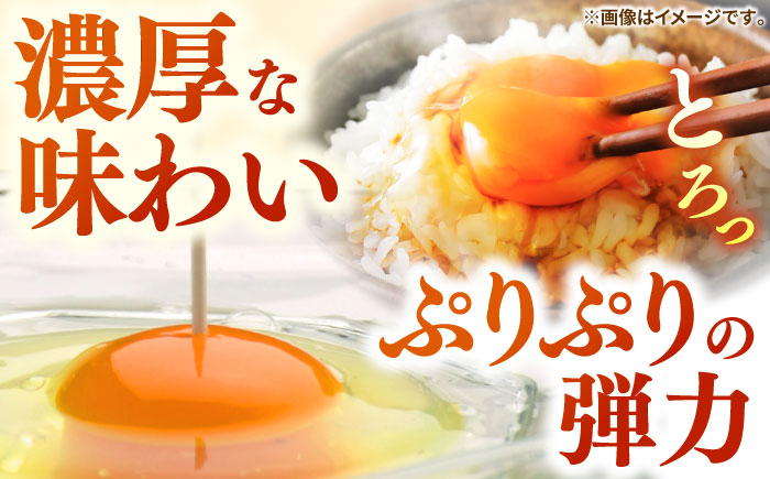 【全2回定期便】特選 素直な恋たまご 30個 《壱岐市》【しまのたまご屋さん】  卵 たまご 鶏卵 玉子 ギフト 国産 卵かけご飯 たまごかけご飯 のし 定期便 [JAP018] 20000 20000円 2万円