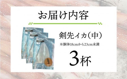 剣先イカ 刺身（中）3杯《壱岐市》【株式会社マルショウ】[JEW003] いか イカ 剣先いか セット おつまみ 新鮮 海鮮丼 刺し身 13000 13000円