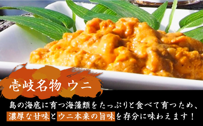 極上 生ウニ 60g（冷凍）《壱岐市》【こころ壱岐水産】 ウニ 雲丹 うに 海鮮 生うに 15000 15000円 [JCF020]