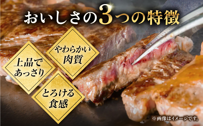 【全12回定期便】極上 壱岐牛 A5ランク 希少部位 赤身ステーキ 200g×2枚（雌）部位おまかせ《 壱岐市 》【KRAZY MEAT】[JER060] ステーキ 赤身 希少部位 牛肉 肉 焼肉 A5   300000 300000円 30万円