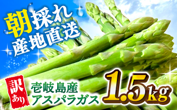 【訳あり】【先行予約】【アスパラガス専門農家が作る！】壱岐産 アスパラガス1.5kg【2027年3月から4月に発送】《壱岐市》【きたじま農園】国産 冷蔵配送 産地直送 朝採れ 新鮮 [JGI005] 10000 10000円 1万円