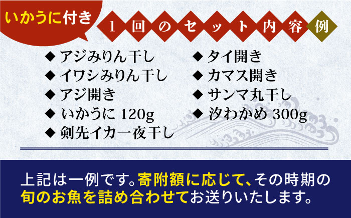 【全6回定期便】旬の海産物 干物詰め合わせ Cセット 《壱岐市》【マルミ海産物】[JCY013] 132000 132000円 12万円 干物 ひもの アジ イワシ イカ みりん干し タイ 雲丹 朝食 手作り