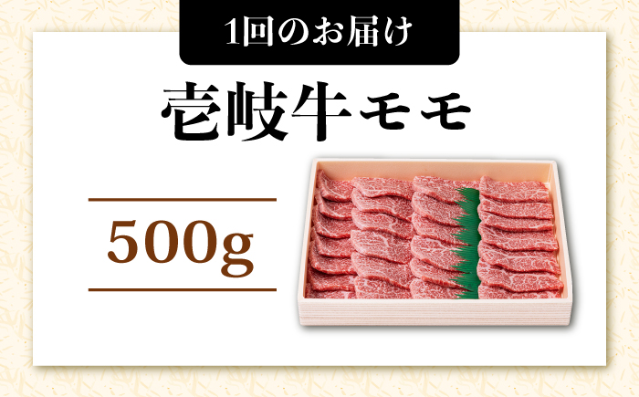 【全2回定期便】壱岐牛焼き肉セット 500g《壱岐市》【株式会社ヤマグチ】牛肉 黒毛和牛 ブランド牛 九州 肉 [JCG126]