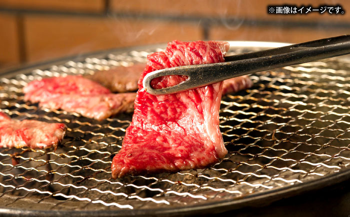 壱岐牛モモ＆壱岐牛カレーセット《壱岐市》【壱岐フードファクトリー】 [JDW052]