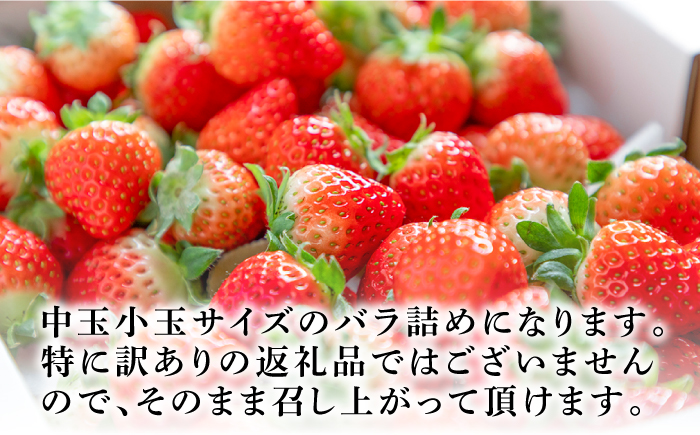 冷凍いちご 1kg 『ゆめ恋フローズンセット』《壱岐市》【蒼花】 産地直送 冷凍配送 いちご 苺 フルーツ フローズン 朝食 ゆめのか 恋みのり [JEO005]