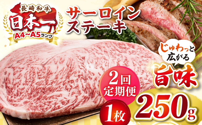 【全2回定期便】【A4〜A5ランク】長崎和牛 サーロインステーキ 250g（250g×1枚）《壱岐市》【株式会社MEAT PLUS】 肉 牛肉 黒毛和牛 サーロイン ステーキ ご褒美 ギフト 贈答用 ご褒美 冷凍配送 A4 A5 [JGH123]