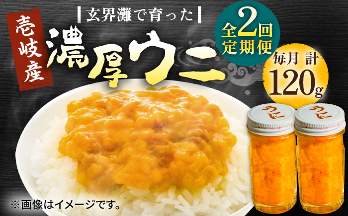 【全2回定期便】壱岐産 濃厚 ウニ 60g ×2本《壱岐市》【合同会社塚元】ムラサキウニ 海産物 海鮮 うに 雲丹 珍味 [JDR033]