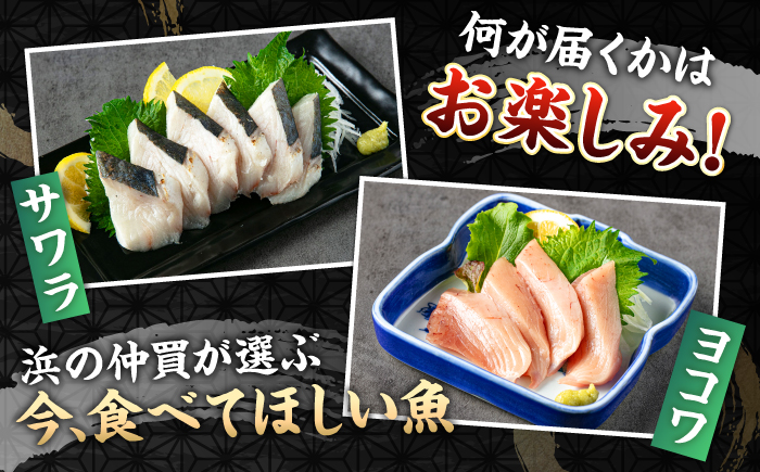 ＼壱岐島勝本漁港直送！／島の刺身セット 松コース（150g×6パック） 《壱岐市》【あかりや】 お刺身 刺し盛り 刺盛り 鮮魚 海鮮 海鮮丼 お造り 小分け タイ マグロ カツオ イカ ブリ クエ 詰め合わせ セット [JFO009]