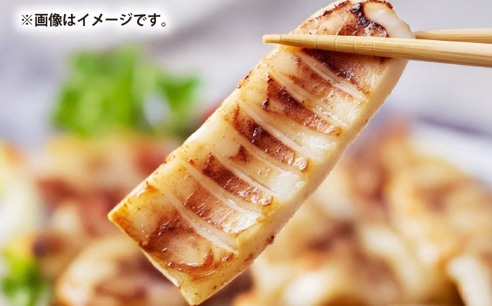 スルメイカ　半日干し 1kg以上 5~7枚《壱岐市》【馬渡水産】 [JAQ029]