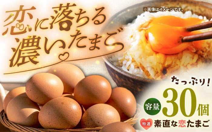 特選 素直な恋たまご 30個 《壱岐市》【しまのたまご屋さん】 [JAP016] 卵 たまご 鶏卵 玉子 ギフト 国産 卵かけご飯 たまごかけご飯 のし [JAP016]