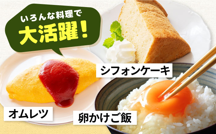 【全2回定期便】特選 素直な恋たまご 30個 《壱岐市》【しまのたまご屋さん】 [JAP016] 卵 たまご 鶏卵 玉子 ギフト 国産 卵かけご飯 たまごかけご飯 のし 定期便 [JAP018]