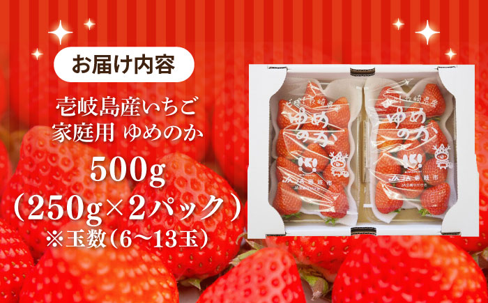 【訳あり/簡易包装】ゆめのか 約250g × 2パック 《壱岐市》【Strawberry Gang】[JEM006] セット いちご イチゴ 苺 果物 フルーツ スムージー 訳あり 8000 8000円