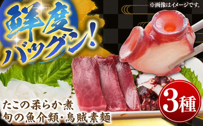 壱岐産 海鮮3種セット（烏賊素麺・たこの柔らか煮・旬の魚介類）《壱岐市》【神洸水産】 たこ タコ いか イカ 刺身 刺し身 海鮮 鮮魚 海産物　 [JFI006]