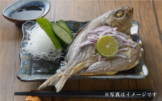 【全12回定期便】壱岐美食の海の幸セット [JBU020] 干物 刺身 アジ イカ カマス   200000 200000円 20万円