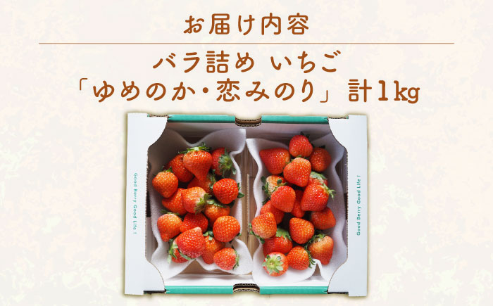 家庭用 バラ詰め イチゴ 1kg （ゆめのか・恋みのり）《壱岐市》【蒼花】[JEO002] いちご イチゴ 苺 フルーツ 果物 スムージー ジャム ゆめのか 恋みのり セット 食べ比べ 冷蔵 10000 10000円