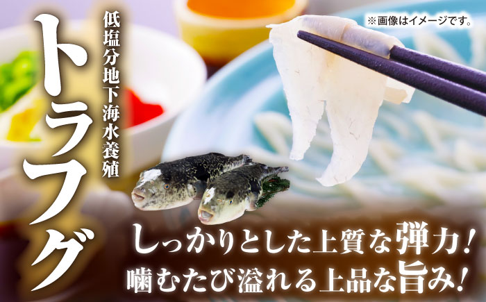 【壱岐島直送】プレミアム海鮮4種食べ比べ刺身セット≪壱岐市≫【なかはら】 冷凍配送 刺身 小分け 産地直送 お刺身 刺し身 寿司 海鮮 [JDT081]