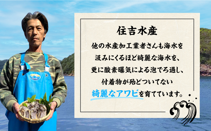 国産養殖アワビ 活き！壱岐！アワビ 計500g（約100g×5枚）《壱岐市》【住吉水産】アワビ 鮑 養殖 貝 海産物 魚介 魚貝 産地直送 お刺身 冷蔵発送 [JDQ007]