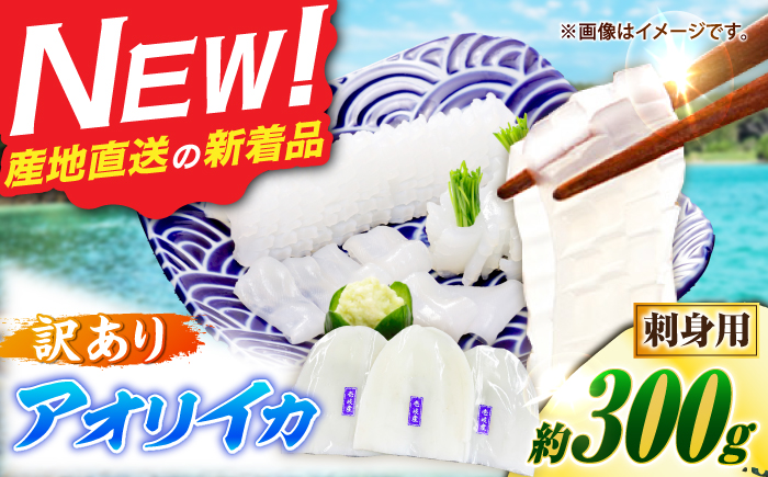 【訳あり】アオリイカ 刺身用 300g　水烏賊 《壱岐市》 【一支國屋】海鮮 烏賊 イカ いか 刺身 刺し身 お刺身 アオリイカ 冷凍配送 [JCC027]