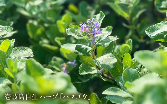壱岐島の実り 旬摘みフラワーティー アソート 6パック 《壱岐市》【Island Kiss Innocent】 [JGJ001]