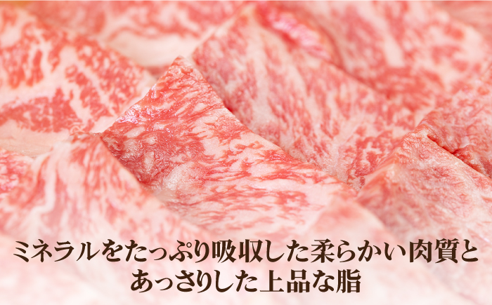 【全2回定期便】壱岐牛ロース焼肉用500g [JBO116]