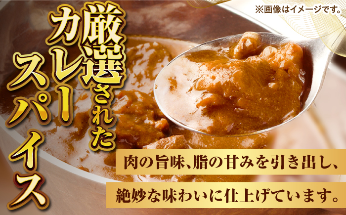 壱岐の辛口カレー辛×辛セット《壱岐市》【アットマーク】 常温配送 カレー ご当地カレー レトルト 簡単調理 [JDW042]