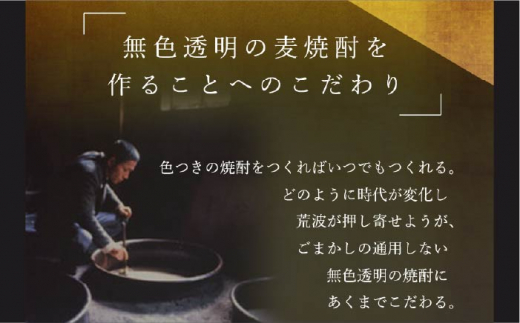 【全6回定期便】隆美焼酎とちんぐのセット [JDB175] 66000 66000円