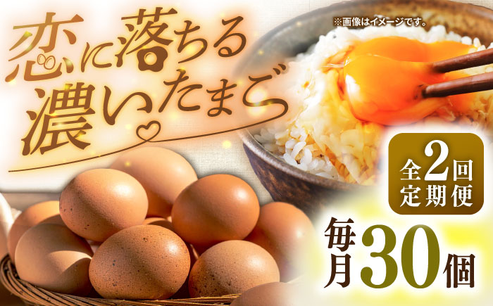 【全2回定期便】特選 素直な恋たまご 30個 《壱岐市》【しまのたまご屋さん】  卵 たまご 鶏卵 玉子 ギフト 国産 卵かけご飯 たまごかけご飯 のし 定期便 [JAP018]