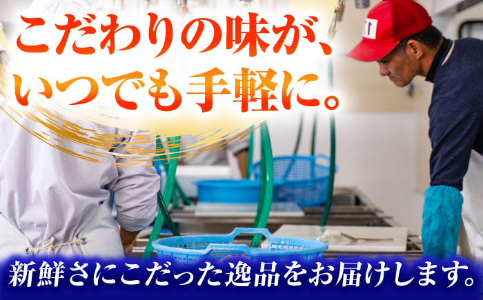 【冷凍】アオリイカ 刺身用 500g　水烏賊 《壱岐市》 【一支國屋】海鮮 烏賊 イカ いか 刺身 刺し身 お刺身 アオリイカ 冷凍配送 [JCC023]