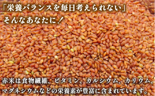 【予約受付中】 古代米 赤米 4kg （1kg入り × 4袋） 壱岐島の古代米 原の辻遺跡《壱岐市》【天下御免】 [JDB123] 13000 13000円