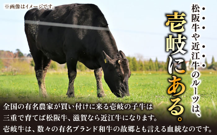極上 壱岐牛 A5ランク 希少部位 赤身ステーキ 200g×2枚（雌）部位おまかせ《壱岐市》【KRAZY MEAT】 [JER052] ステーキ 赤身 希少部位 牛肉 肉 ランプ 29000 29000円