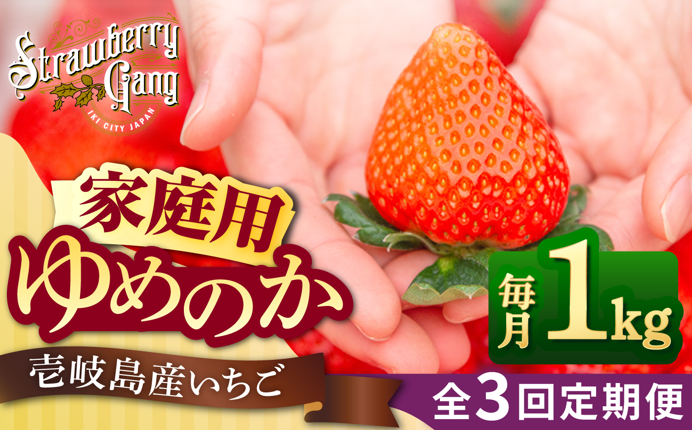 【先行予約】【訳あり/簡易包装】【全3回定期便】ゆめのか 約250g×4パック【2027年1月以降順次発送】《壱岐市》【Strawberry Gang】 [JEM004] イチゴ 苺 果物 フルーツ スムージー 39000 39000円 冷蔵配送 訳あり