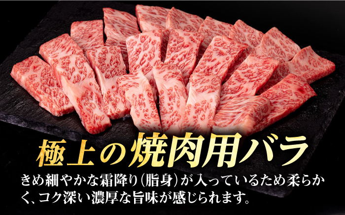 【全2回定期便】 壱岐牛 焼肉用 バラ（カルビ）500g《壱岐市》【株式会社イチヤマ】 肉 牛肉 焼肉 バラ カルビ BBQ [JFE113]