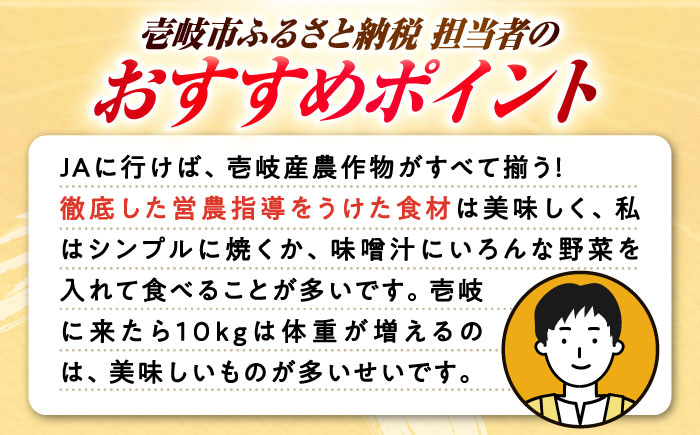 旬の野菜 7品セット 《壱岐市》【壱岐市農業協同組合】[JBO001] 野菜 ベジタブル 食材 詰め合わせ 産地直送 野菜セット グルメ 春 夏 秋 冬 旬 サラダ 冷蔵 夏野菜 スムージー   10000 10000円 1万円