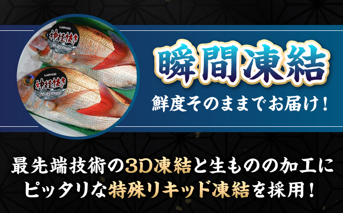 【全2回定期便】 【勝本漁港直送】壱岐島の刺身盛りセット ≪壱岐市≫【あかりや】 冷凍配送 刺身 小分け 産地直送 2万円 20000円 お刺身 刺し身 寿司 海鮮 [JFO005]