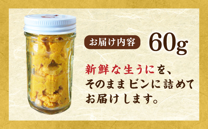 【先行予約】壱岐産 生うに 60g×1本【2026年5月以降順次発送】《壱岐市》【馬渡水産】 生ウニ うに ウニ 雲丹 紫うに ムラサキウニ 海鮮 希少 冷蔵配送 [JAQ005]
