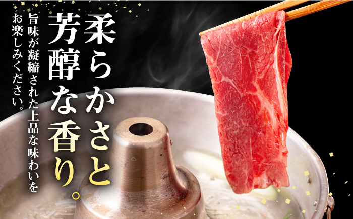 【全2回定期便】壱岐牛 モモスライス（すき焼き・しゃぶしゃぶ・焼肉）500g《壱岐市》【株式会社イチヤマ】 肉 牛肉 モモ スライス [JFE126]