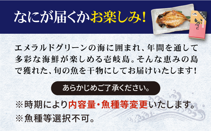 【全2回定期便】旬の海産物セットＣ《壱岐市》【朝市　マルミ海産物】アジ みりん干し イワシ 剣一夜干し 剣先イカ [JCY023]