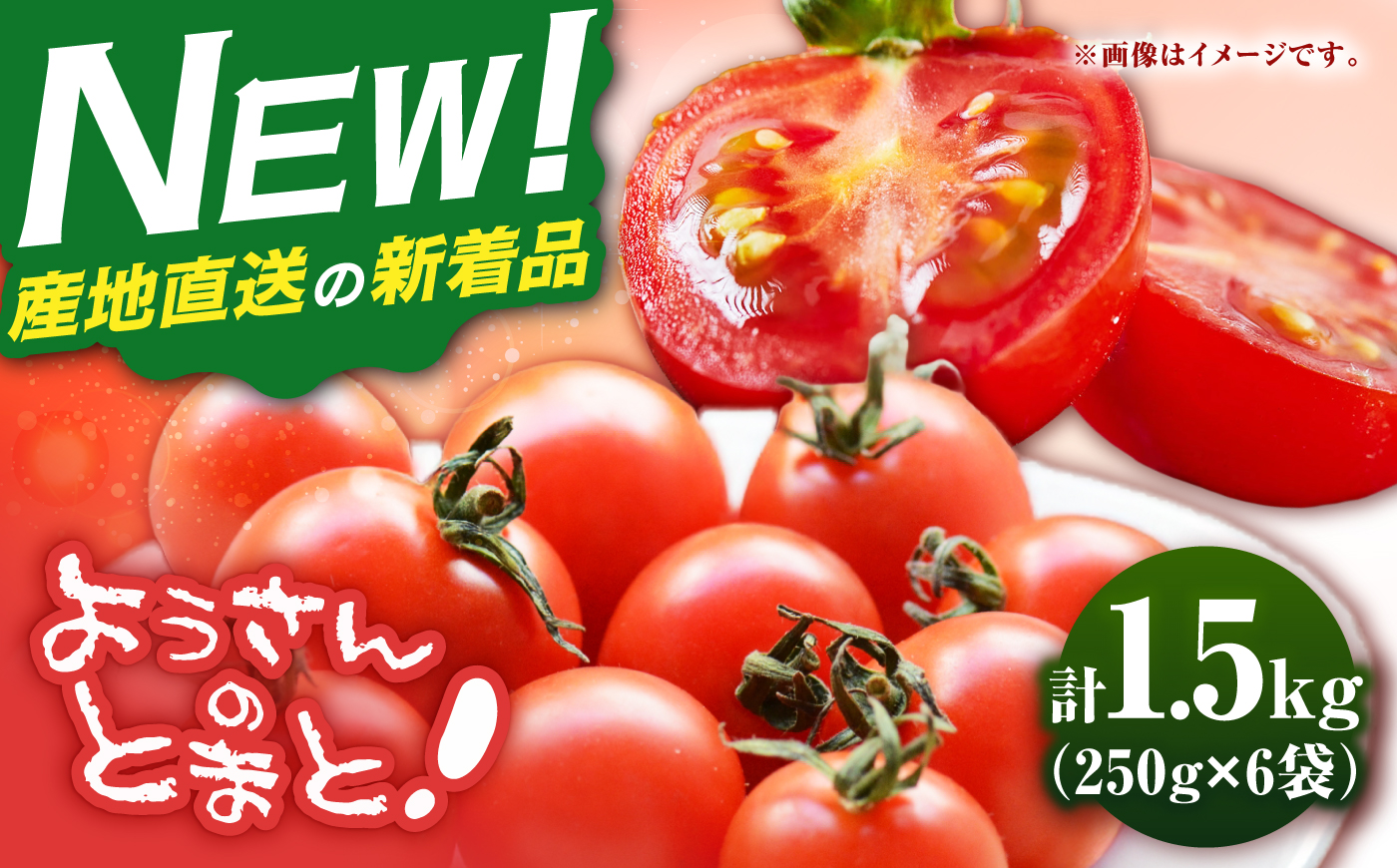 【先行予約】壱岐市産 ミニトマト 1.5kg（250g×6袋）【2026年8月下旬以降順次発送】 《壱岐市》【ようさんのとまと】 野菜 トマト とまと ミニトマト 国産 旬 [JHC001]