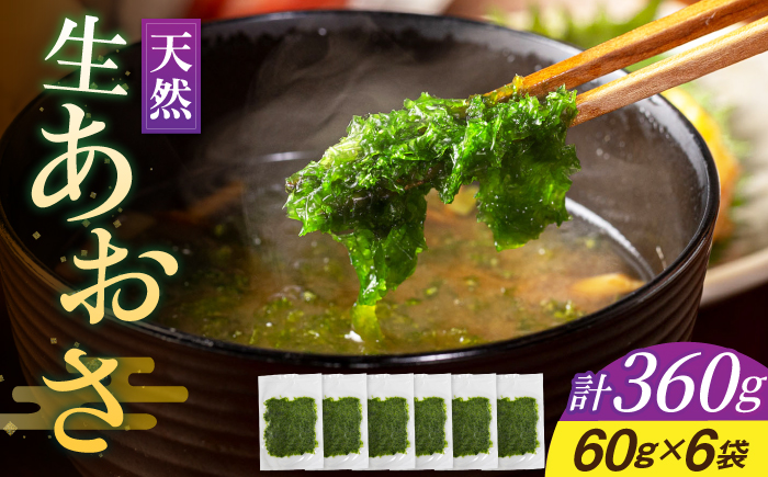 天然 生あおさ 6袋（60g/袋）《壱岐市》【馬渡水産】[JAQ003] あおさ アオサノリ あおさのり 海藻 味噌汁 海苔 青のり