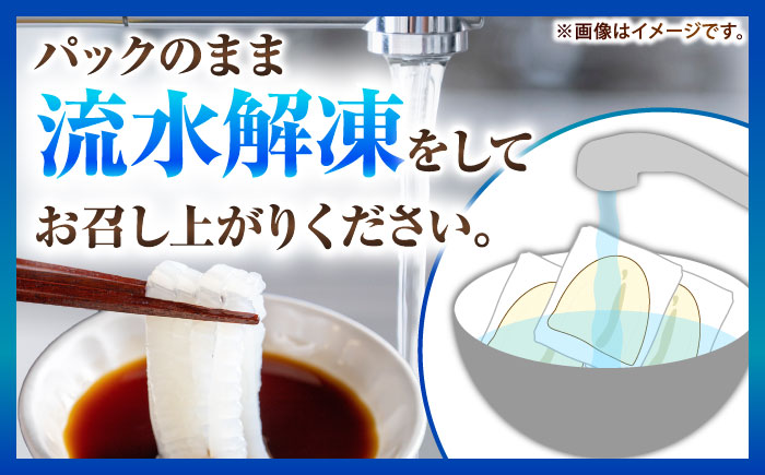 【冷凍】剣先イカ 刺身用 500g 剣先烏賊 《壱岐市》【一支國屋】[JCC024] 海鮮 烏賊 イカ いか 刺身 刺し身 お刺身 剣先イカ 冷凍配送