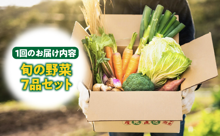 【全12回定期便】旬の野菜セット 7品《壱岐市》【壱岐市農業協同組合】 [JBO046] 野菜 ベジタブル 食材 詰め合わせ 産地直送 野菜セット グルメ 春 夏 秋 冬 旬 サラダ 冷蔵 夏野菜 スムージー 定期便 108000 108000円