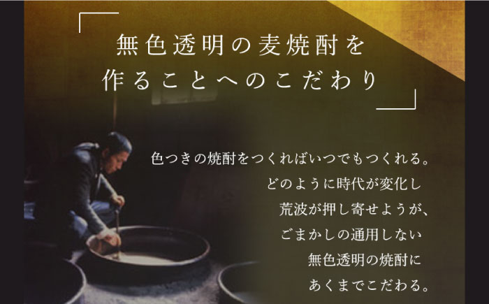 【全2回定期便】隆美焼酎と壱岐スーパーゴールド22度セット《壱岐市》【天下御免】焼酎 壱岐焼酎 麦焼酎 酒 アルコール [JDB366]