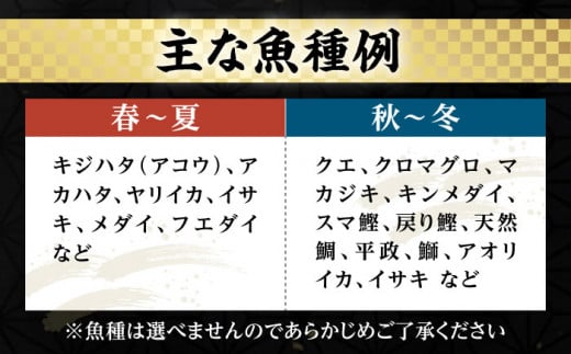 【先行予約】【厳選】 壱岐島 贅沢刺身セット4～5人前（80g×6パック） 【2025年1月以降順次発送】 《壱岐市》【あかりや】 冷凍配送 お刺身 刺し盛り 刺盛り 鮮魚 海鮮 海鮮丼 お造り 小分け タイ マグロ カツオ イカ ブリ クエ [JFO001]