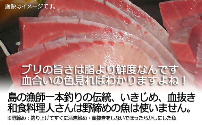 壱岐島産天然寒ブリ（12ｷﾛ台・丸もの） [JBS108]
