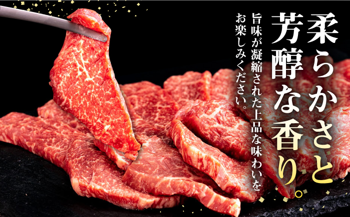 【全2回定期便】 壱岐牛 焼肉用 モモ 500g《壱岐市》【株式会社イチヤマ】 肉 牛肉 焼肉 もも BBQ [JFE124]