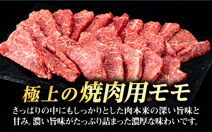 【全2回定期便】 壱岐牛 焼肉用 モモ 500g《壱岐市》【株式会社イチヤマ】 肉 牛肉 焼肉 もも BBQ [JFE124]