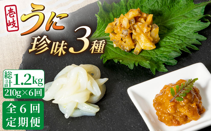 【全6回定期便】壱岐 うに 珍味 3本セット 《壱岐市》【下久商店株式会社】[JBZ032] イカ 塩辛 柚子 ウニ 雲丹 がぜうに ガゼウニ 海産物 海鮮 おつまみ ご飯のお供 ごはんのおとも 瓶詰 瓶 100000 100000円 10万円