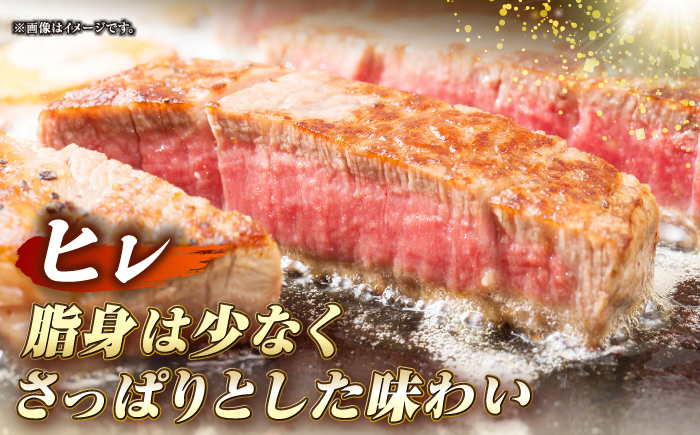 【全2回定期便】長崎和牛 サーロイン ヒレ ステーキセット 各2枚 《壱岐市》【KRAZY MEAT】 A5 A4 冷凍 和牛 肉 牛肉 BBQ 詰め合わせ 贈り物 [JER136]