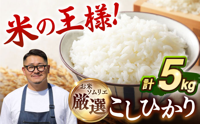 【R7年度産】こしひかり 5kg《壱岐市》 【長米壱岐営業所】[JCZ021] 米 お米 白米 精米 ごはん ご飯 こしひかり コシヒカリ 16000 16000円 2万円